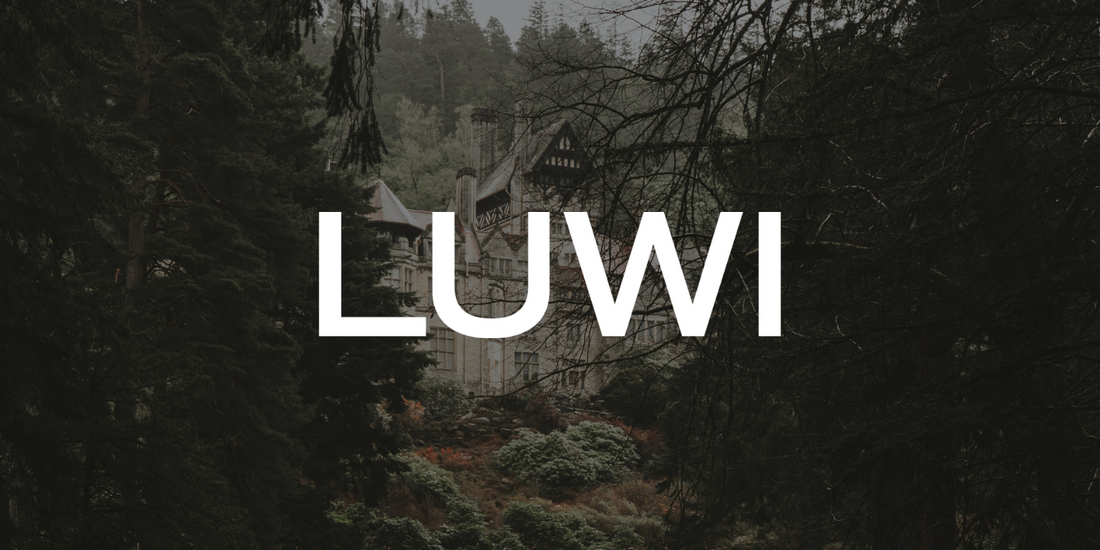 A LUWI Haunted House 💀