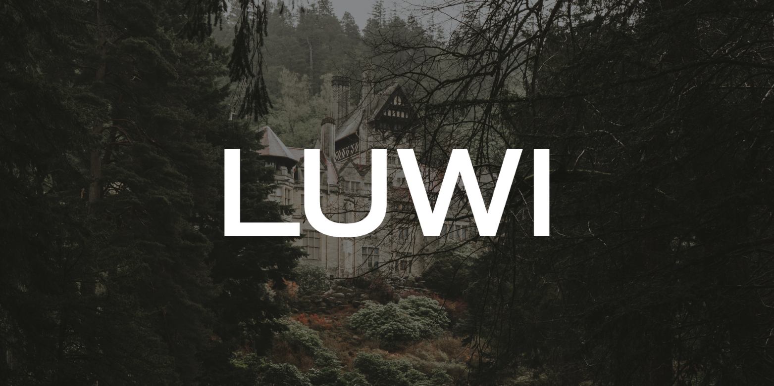 A LUWI Haunted House 💀